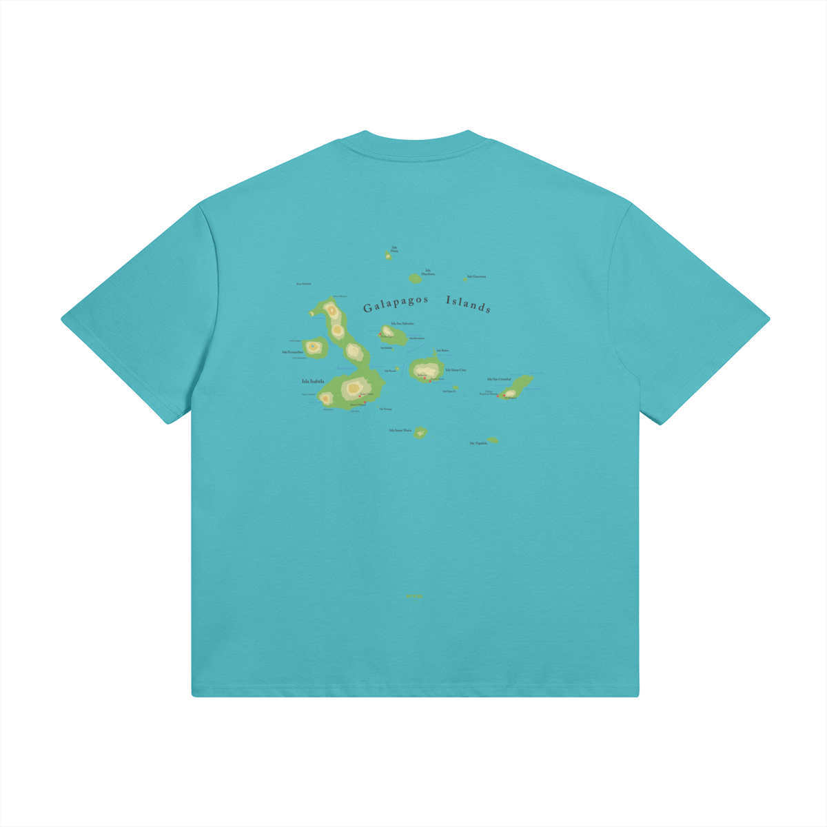0-YCI-Back Side