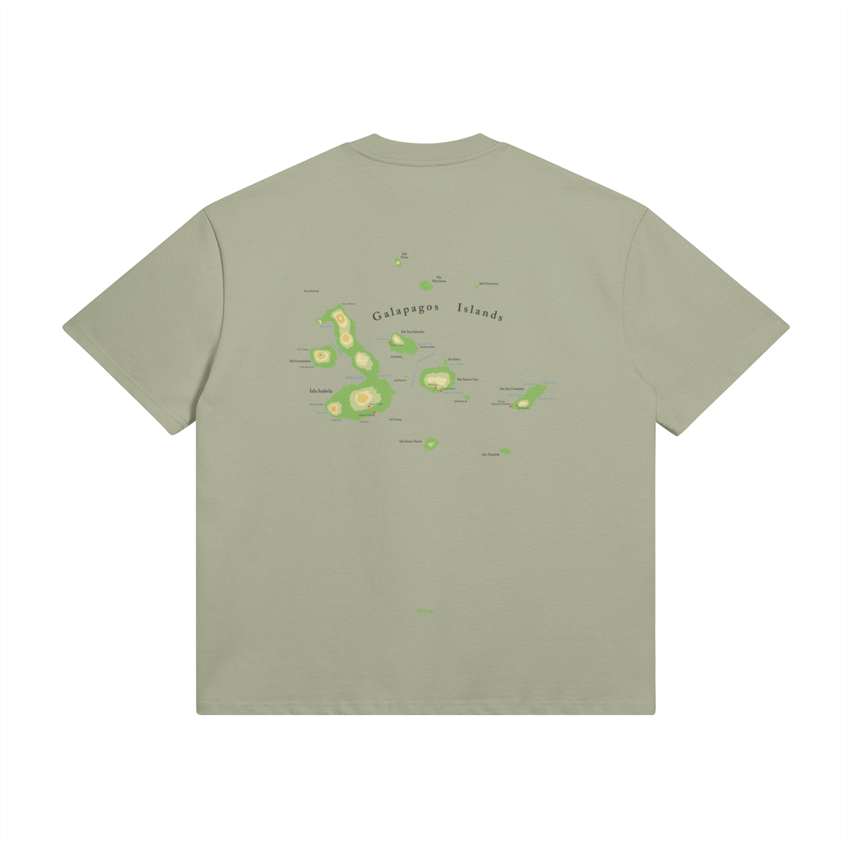 0-YCS-Back Side