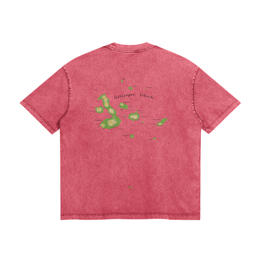 0-YCG-Back Side