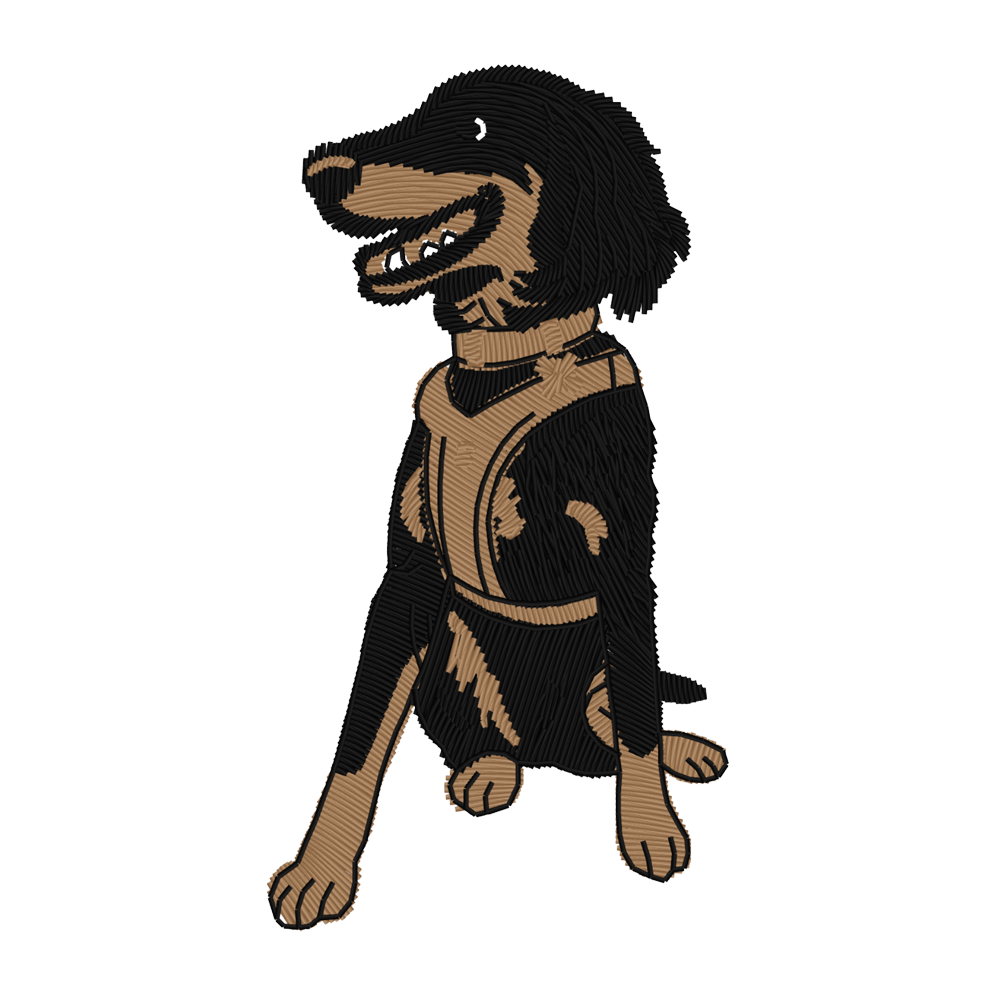 425GSM: BESS