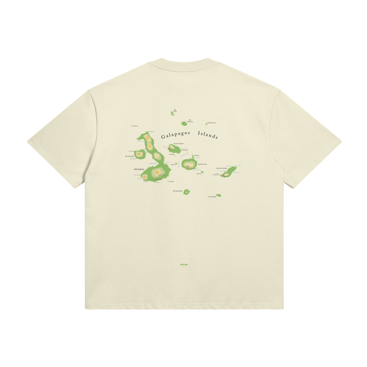 0-YCK-Back Side