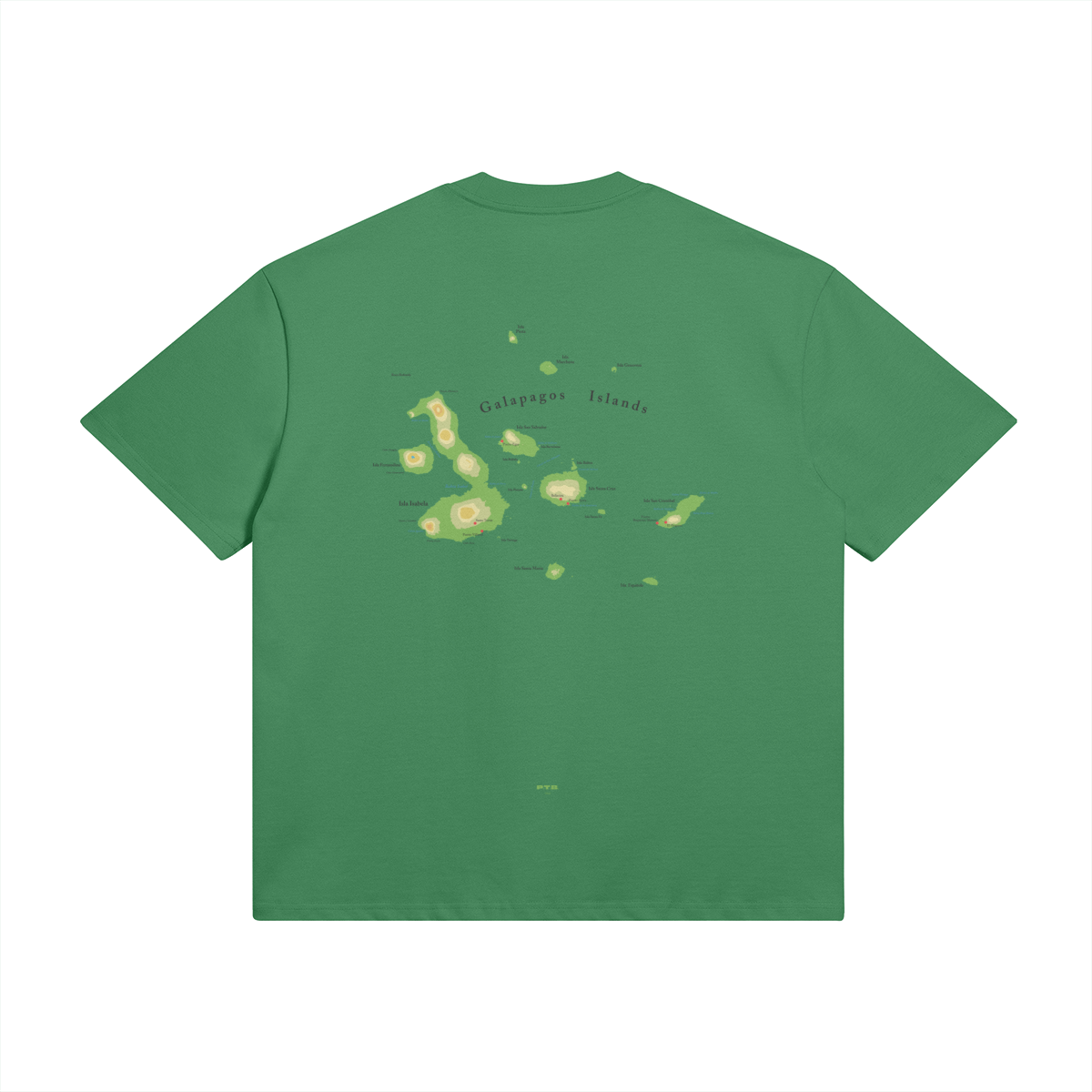 0-YCJ-Back Side
