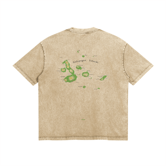 0-YCB-Back Side