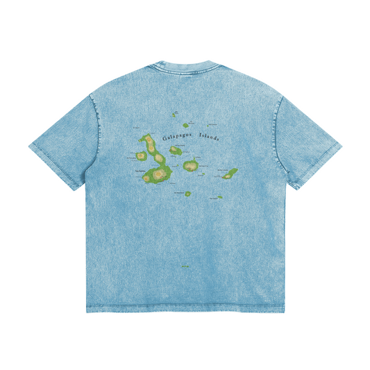 0-YCD-Back Side